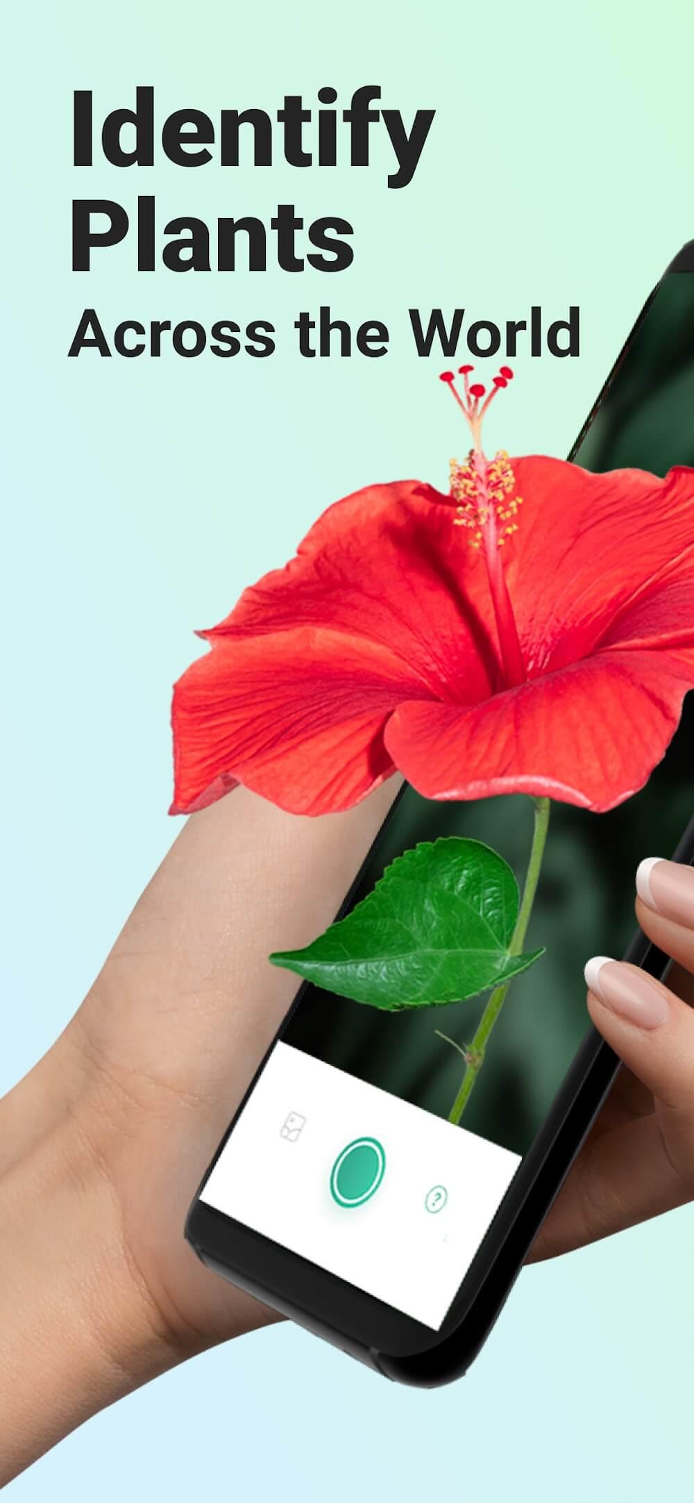 PictureThis - Plant Identifier Screenshot 1