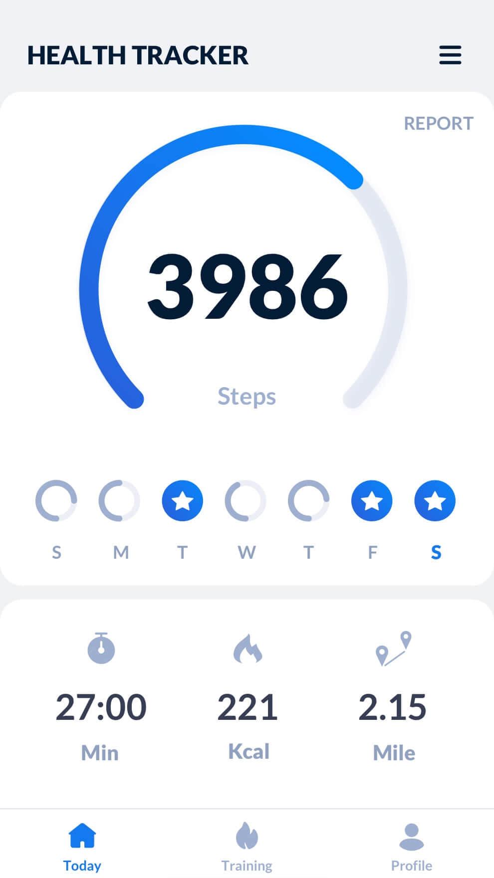 Step Tracker Screenshot 2