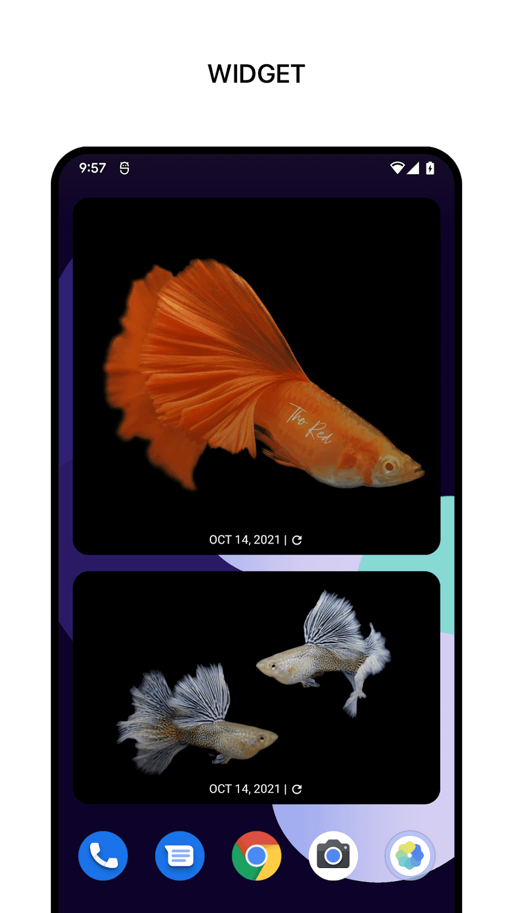 1Gallery Screenshot 2