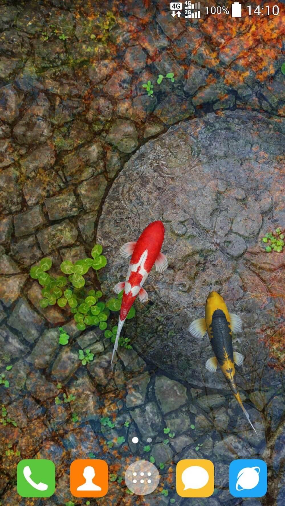 Water Garden Live Wallpaper Screenshot 3