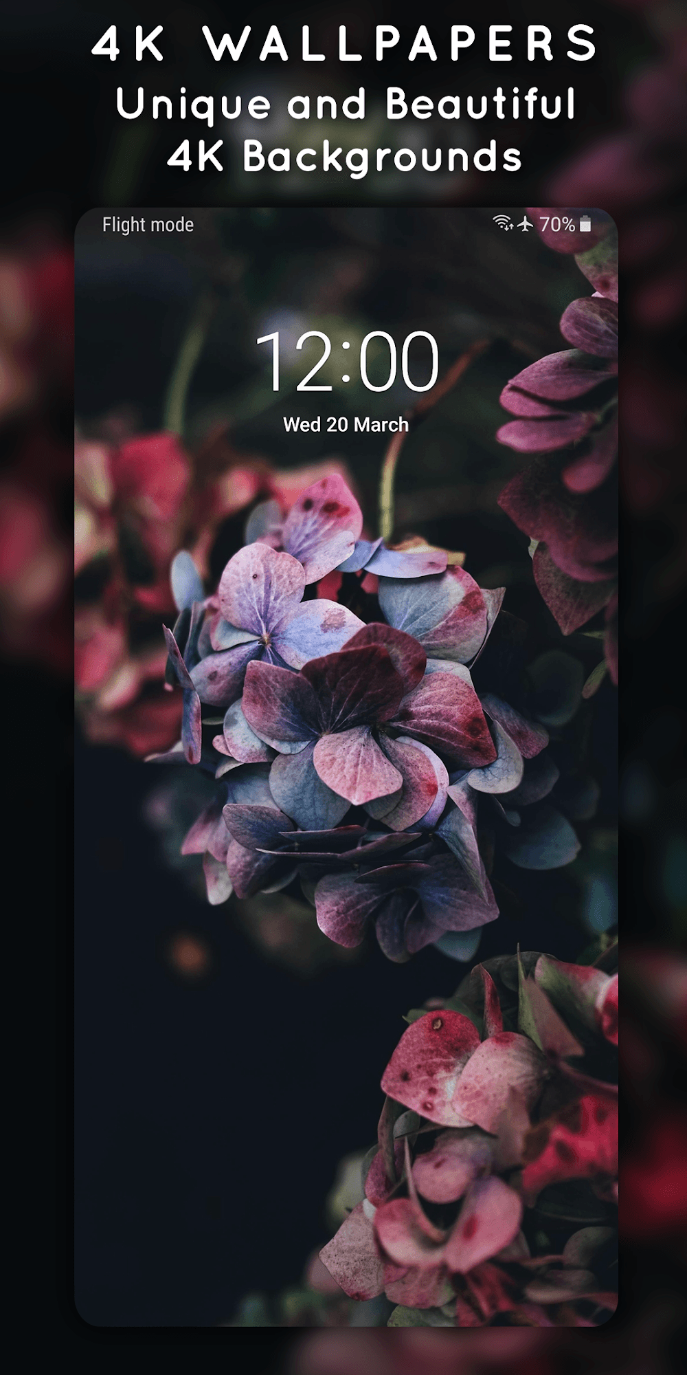 4K Wallpapers Screenshot 3