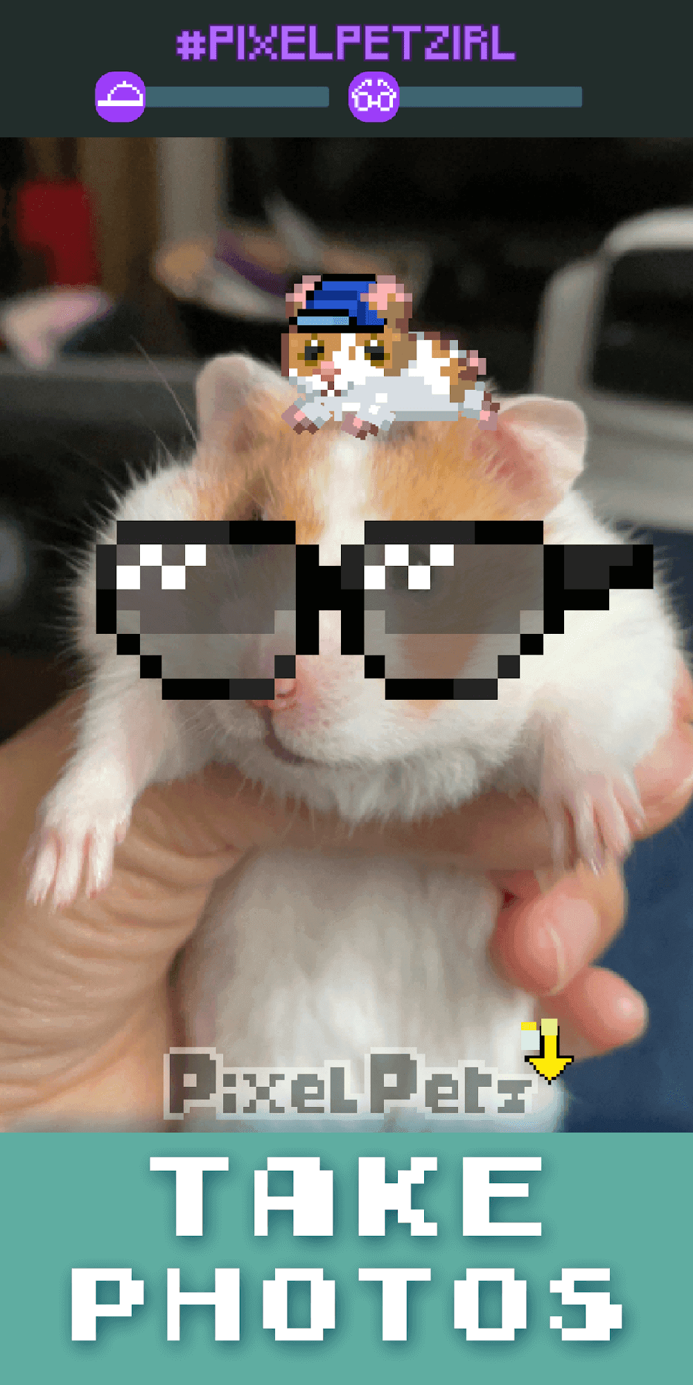 Pixel Petz Screenshot 4