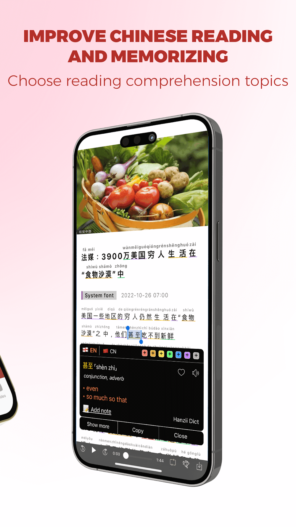Todai Chinese Screenshot 2