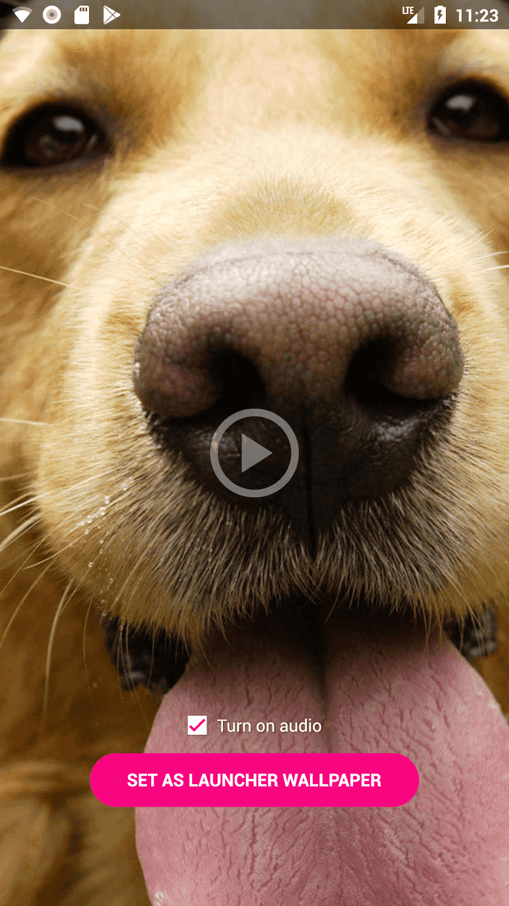 Video Live Wallpaper Maker Screenshot 5