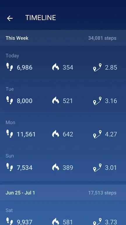 Pedometer Screenshot 2