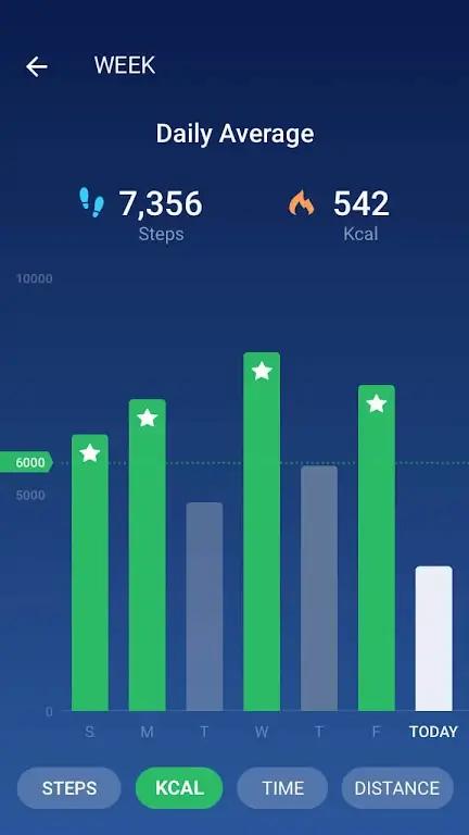 Pedometer Screenshot 3