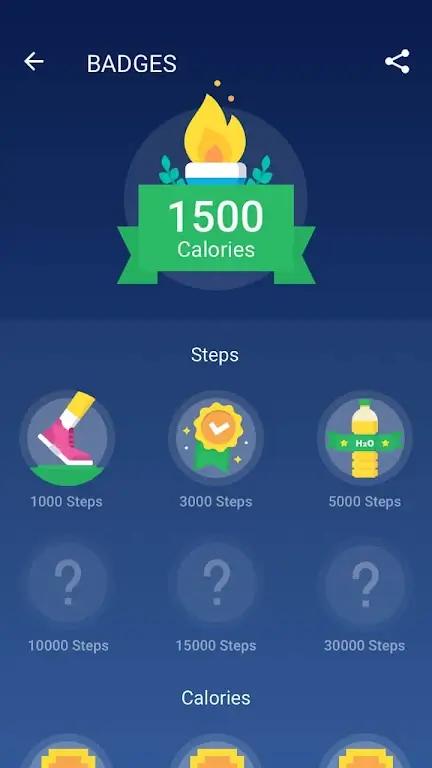 Pedometer Screenshot 4