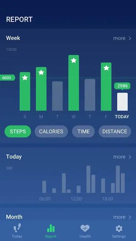 Pedometer Screenshot 6