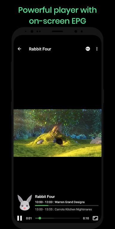 Dimplay Screenshot 3