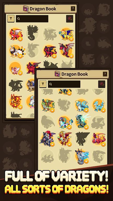Dragon Village Collection Screenshot 2