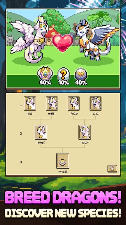 Dragon Village Collection Screenshot 3