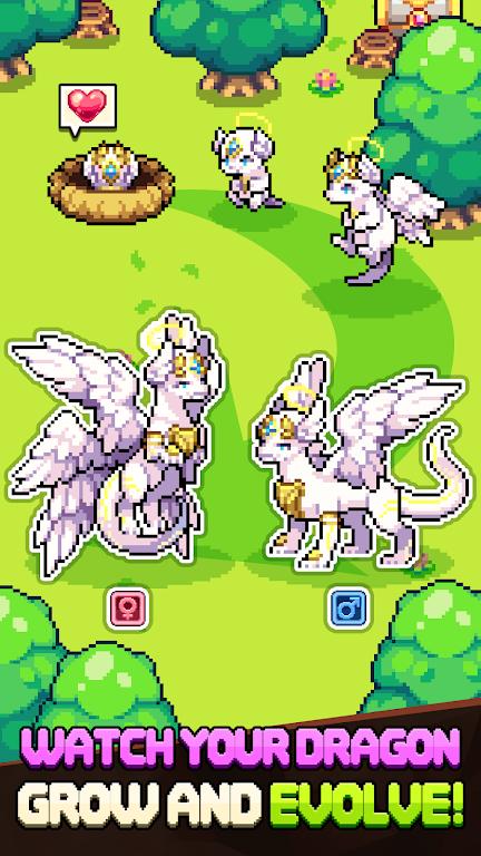Dragon Village Collection Screenshot 4