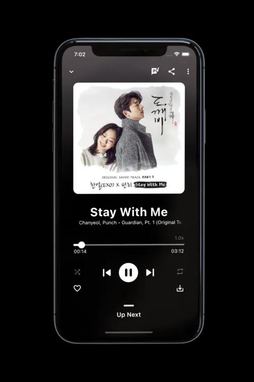 BlackHole Music Screenshot 2