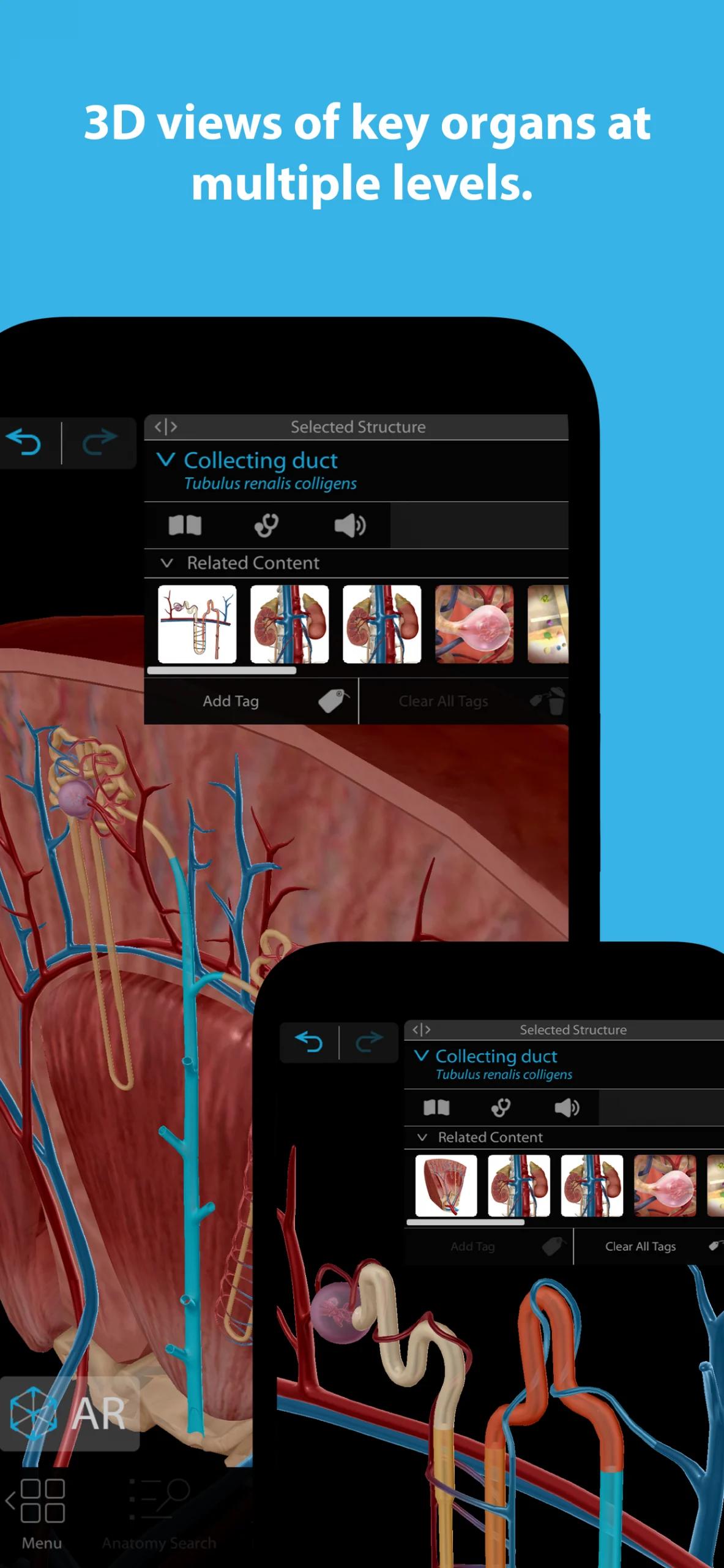 Human Anatomy Atlas 2026 Screenshot 4