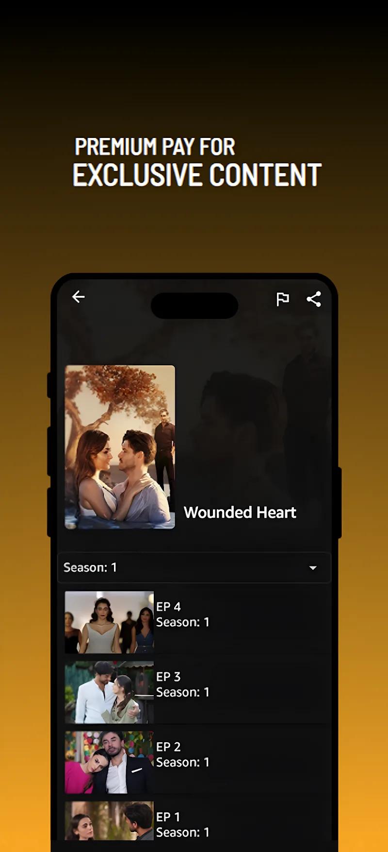 Picasso: Live TV, Movie & Show Screenshot 4