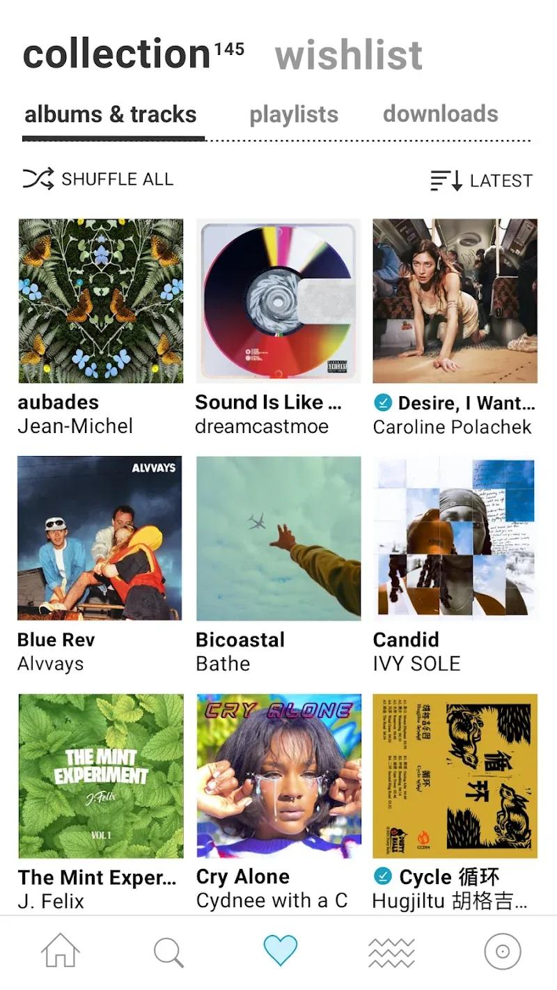 Bandcamp Screenshot 1