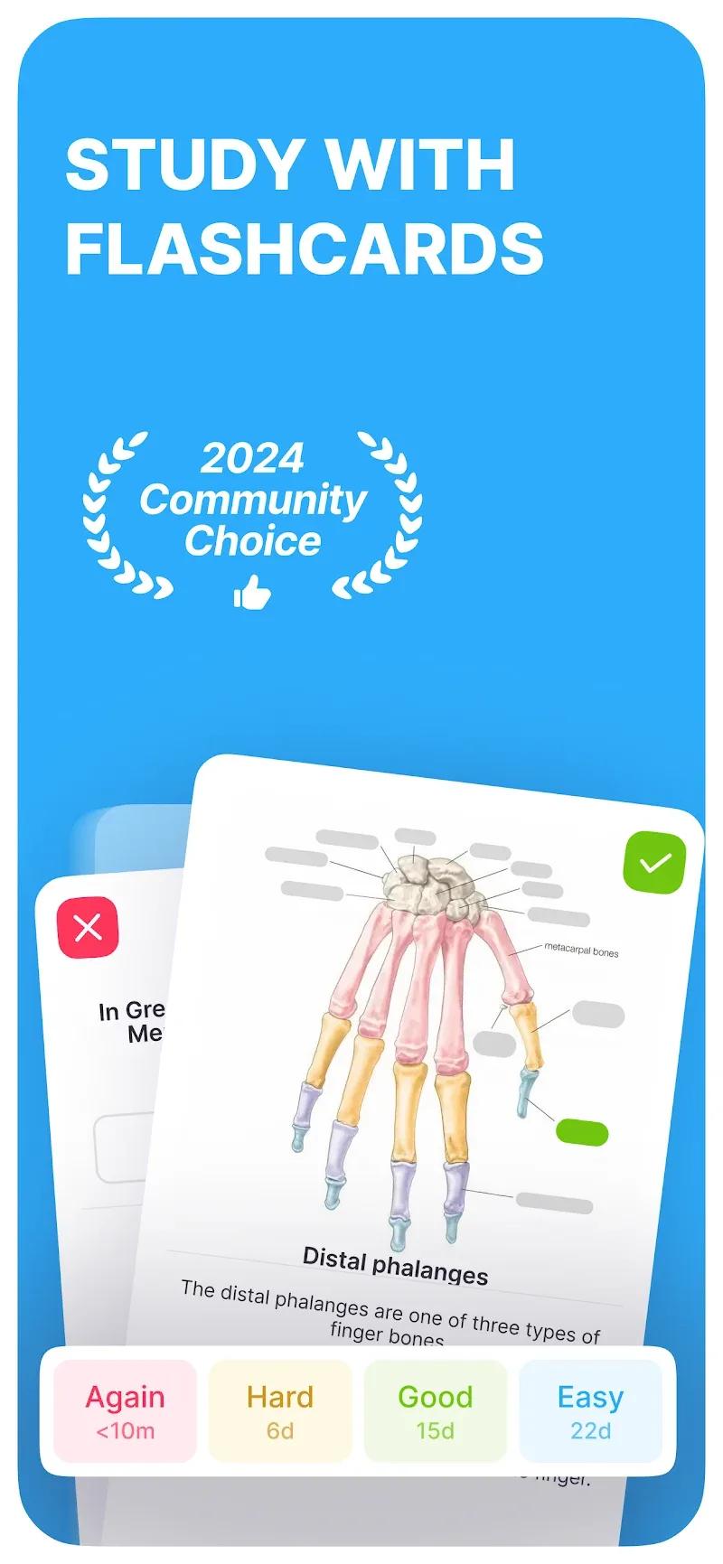 Noji: Study with Flashcards Screenshot 1