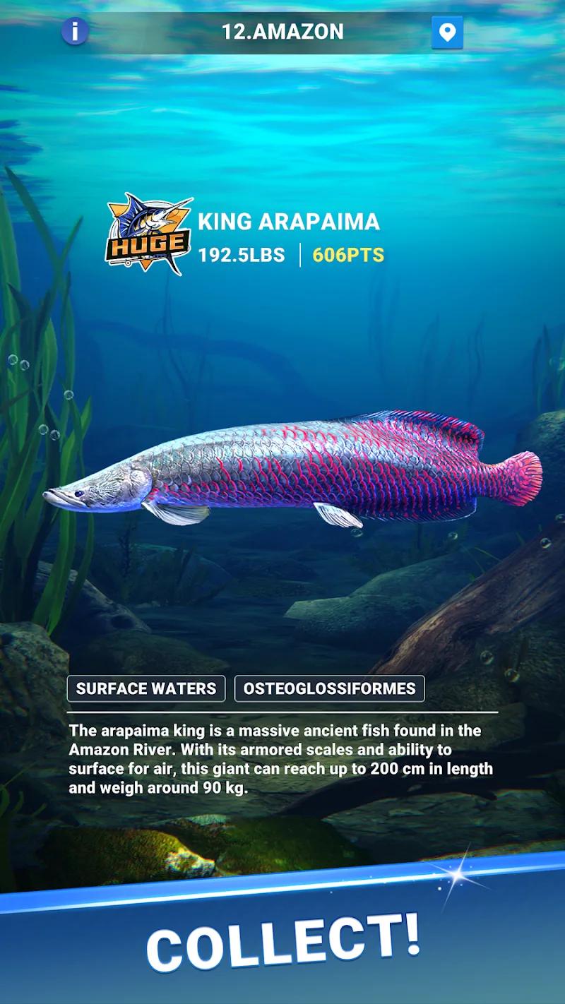 Fishing Travel Screenshot 5