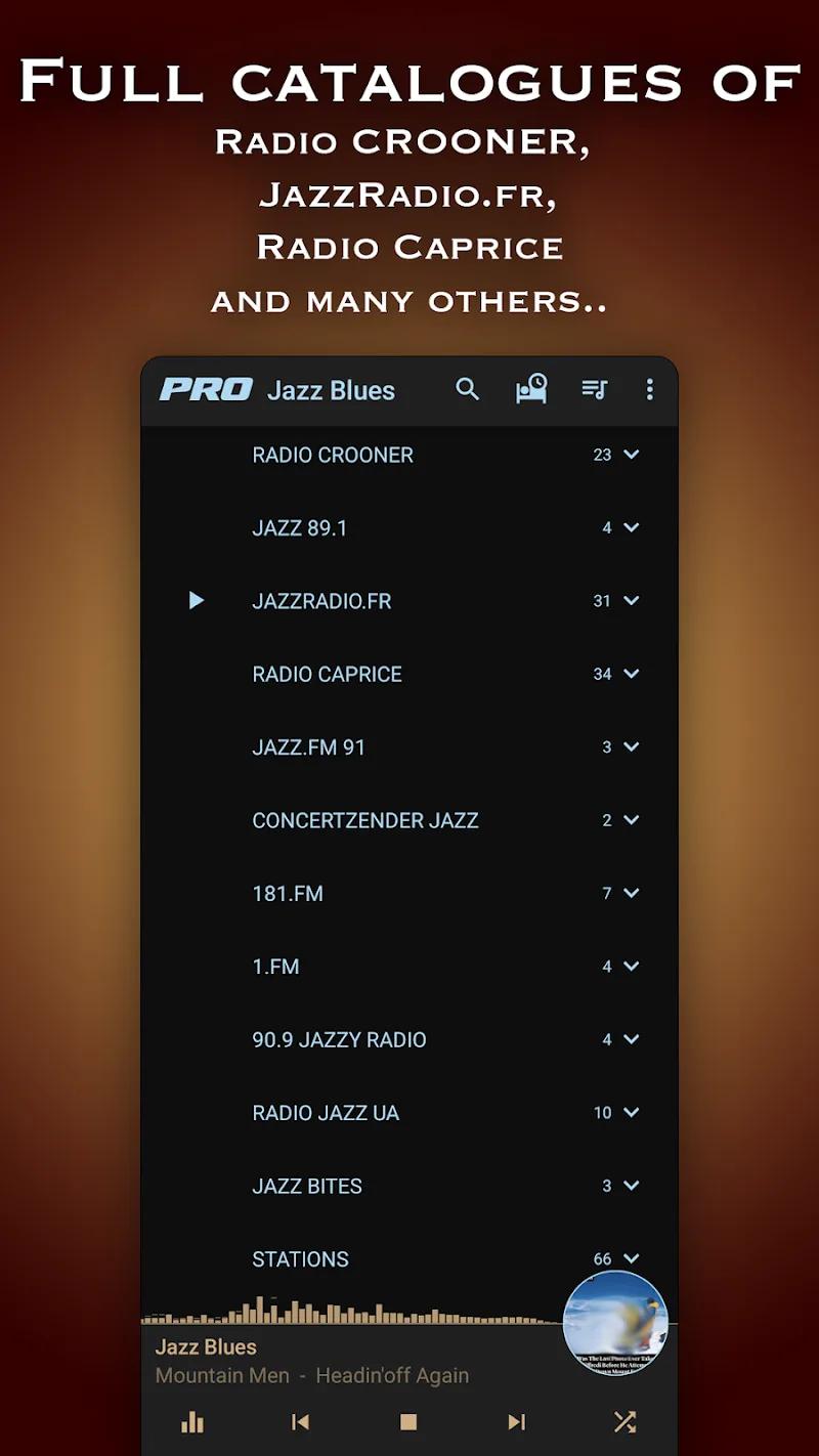 Jazz & Blues Music Radio Screenshot 2