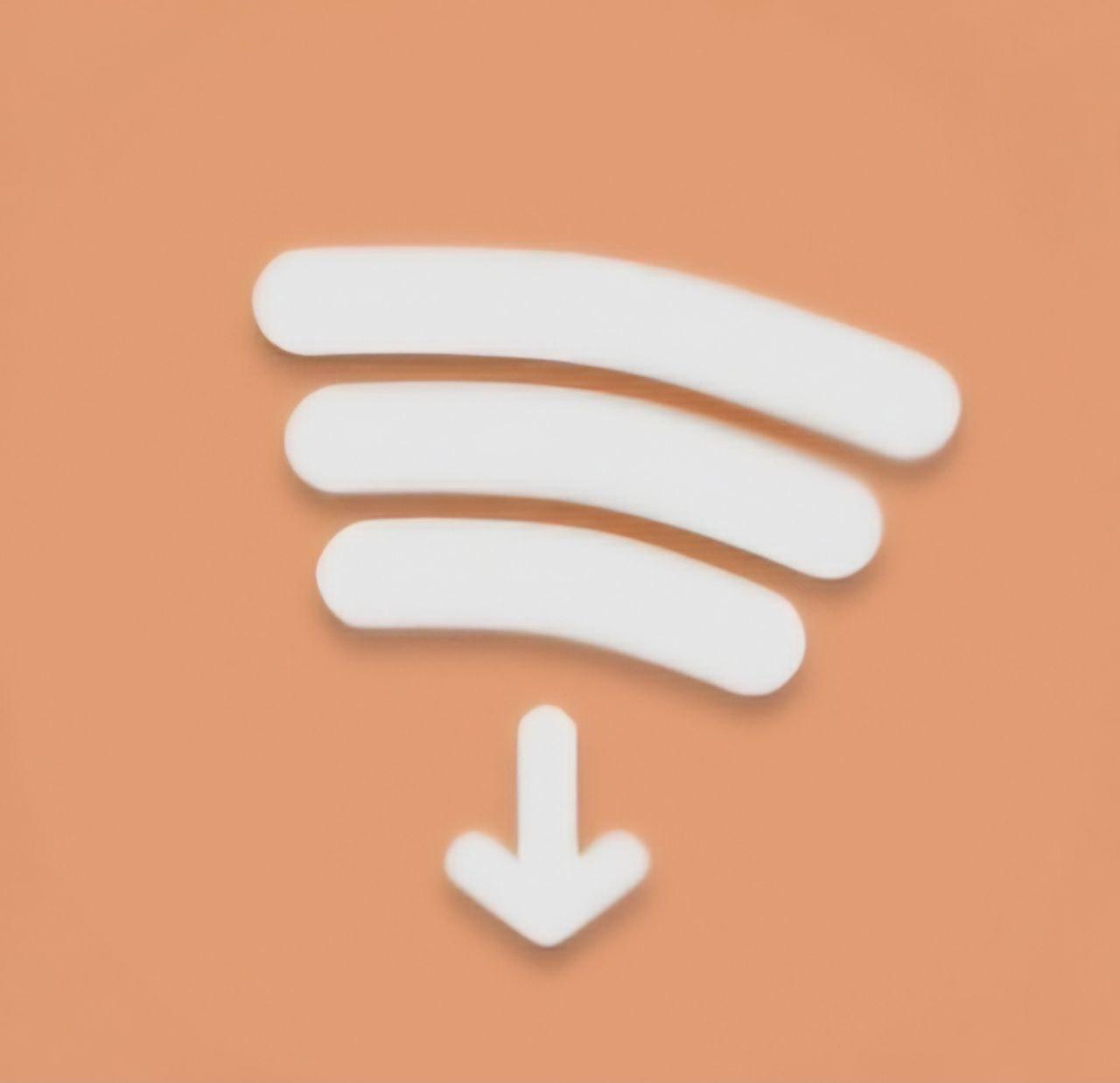 Spotify Playlist Downloader