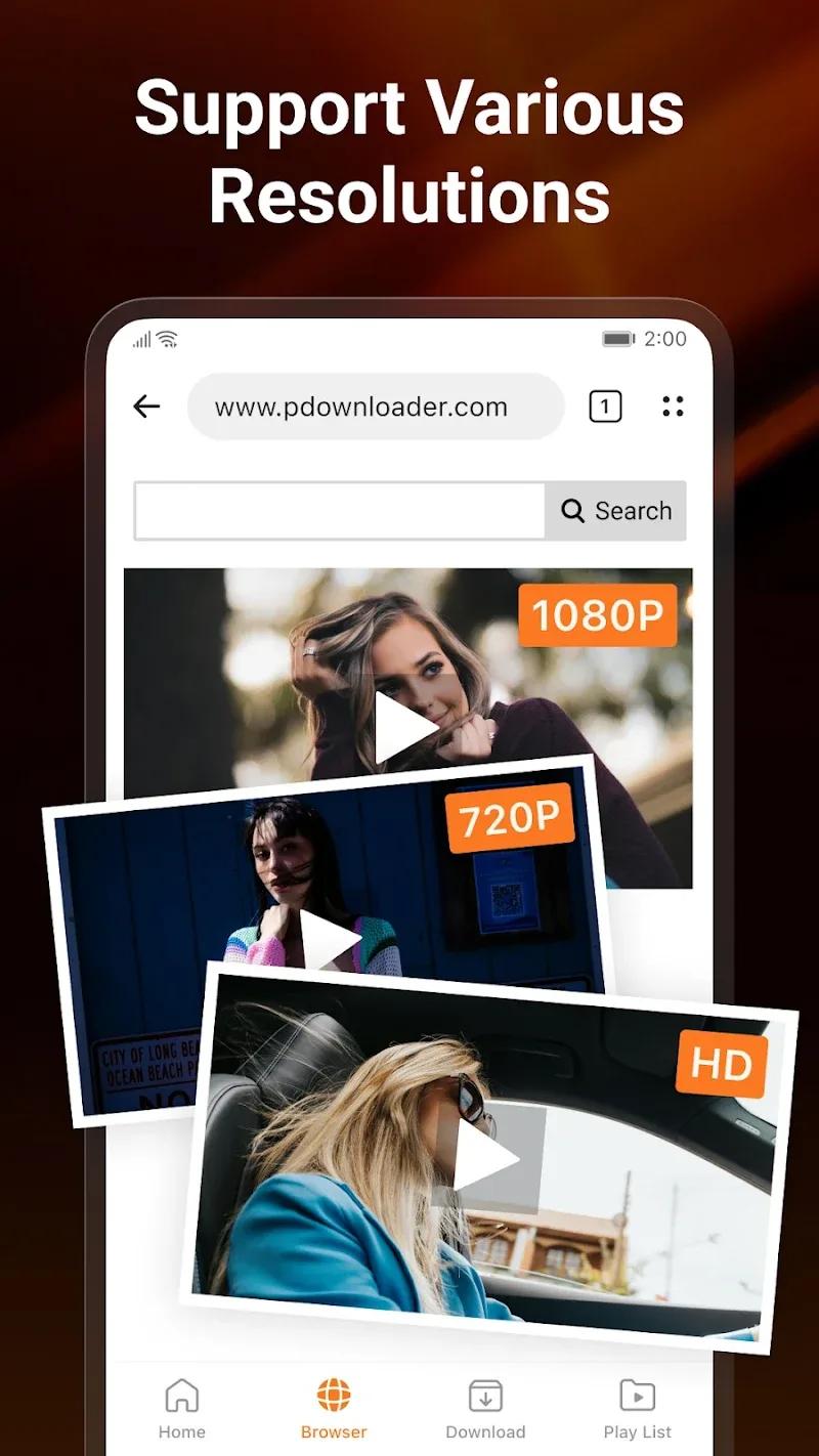 PDownloader  Screenshot 3