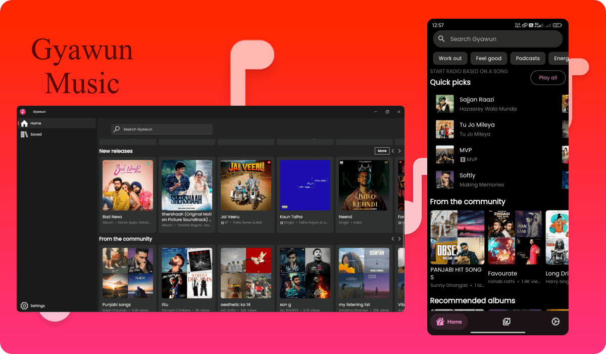 Gyawun Music Screenshot 1