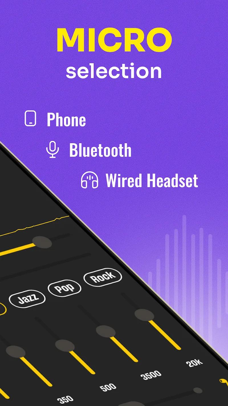 Hearing from Distance: Spy Ear Screenshot 4