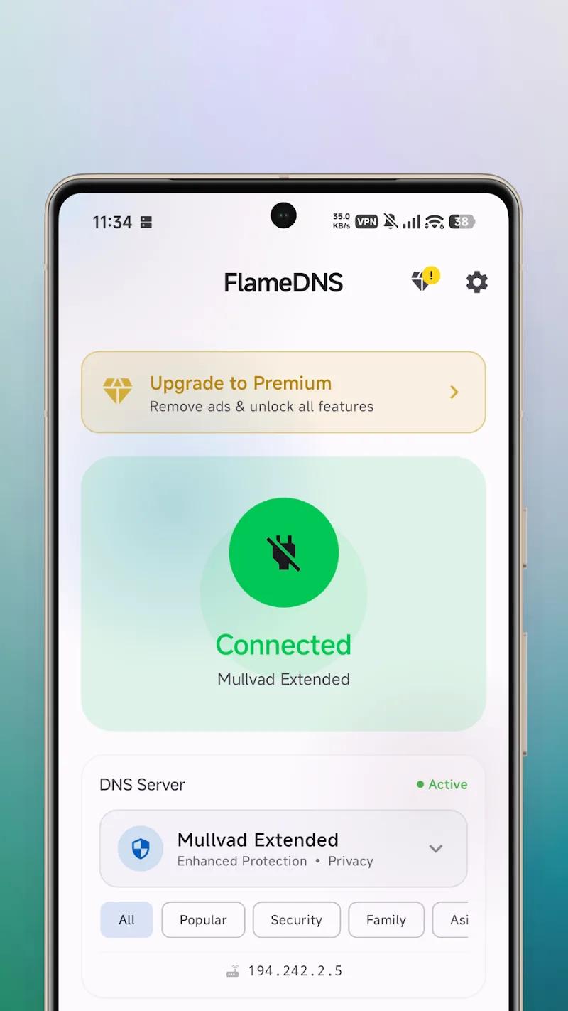 FlameDNS - DNS Changer Screenshot 1