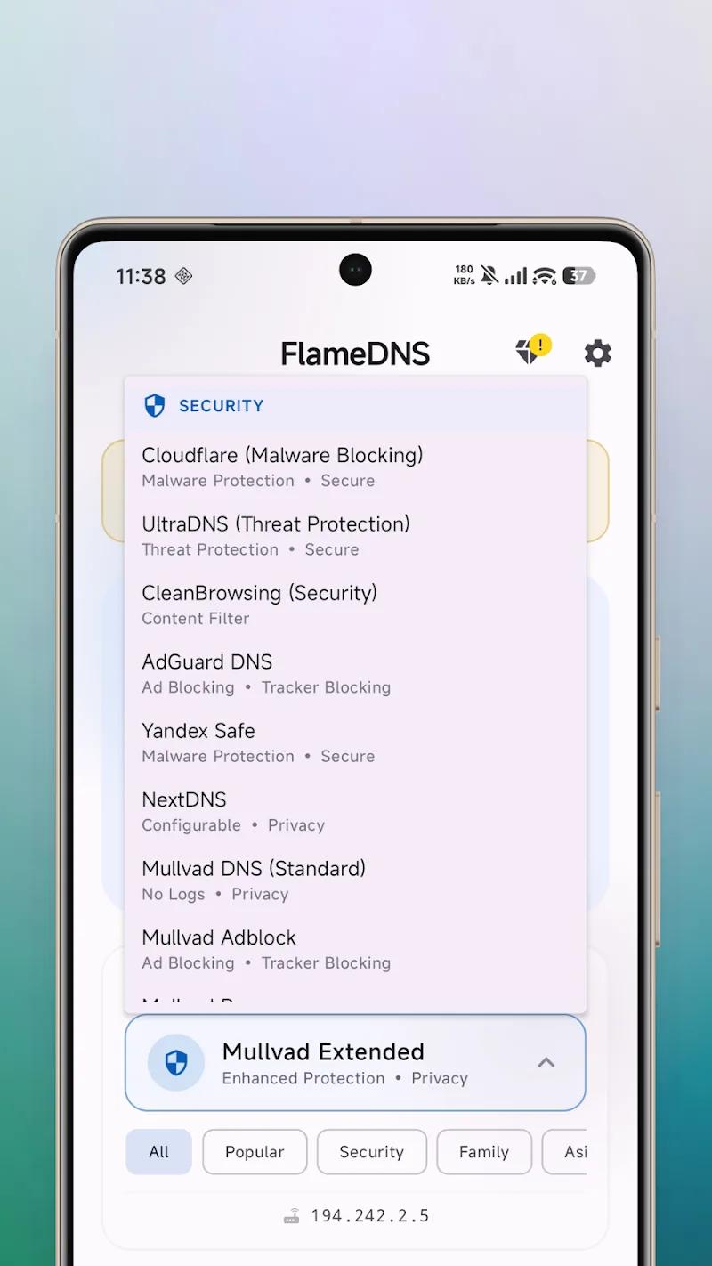 FlameDNS - DNS Changer Screenshot 2