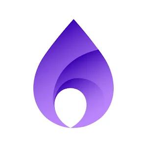 FlameDNS - DNS Changer