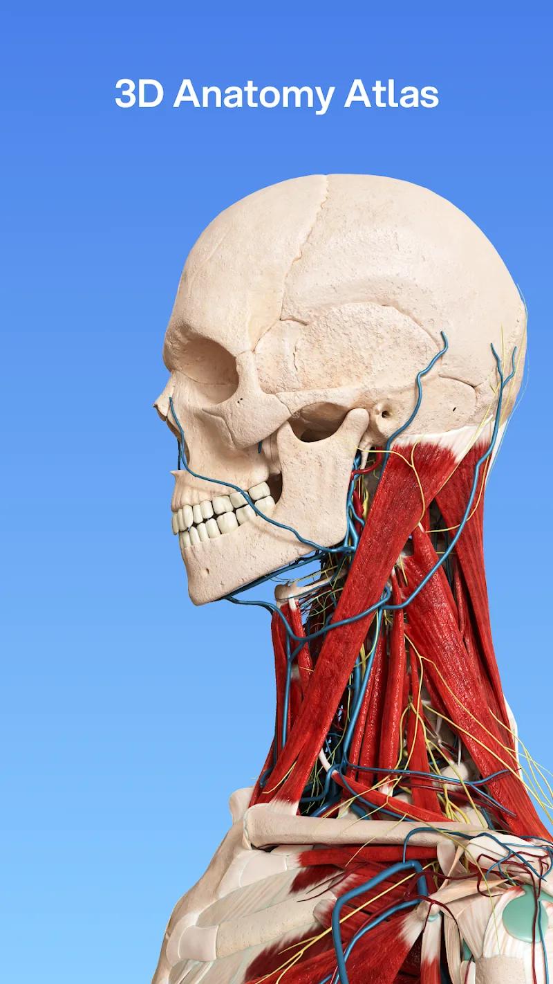 VOKA 3D Anatomy and Physiology Screenshot 1