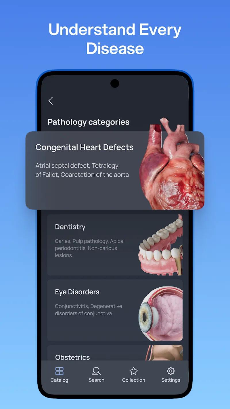VOKA 3D Anatomy and Physiology Screenshot 2