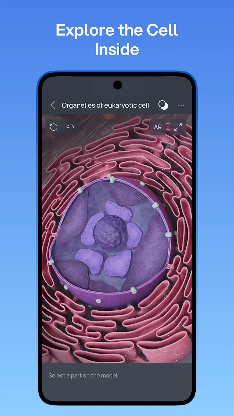 VOKA 3D Anatomy and Physiology Screenshot 4