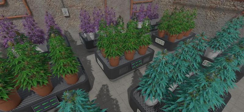 Weed Store Simulator Screenshot 5