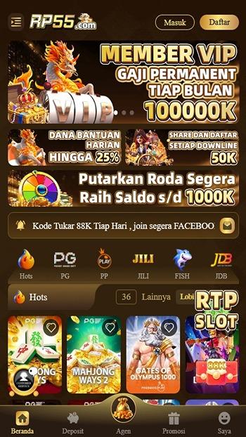 RP55 Screenshot 2