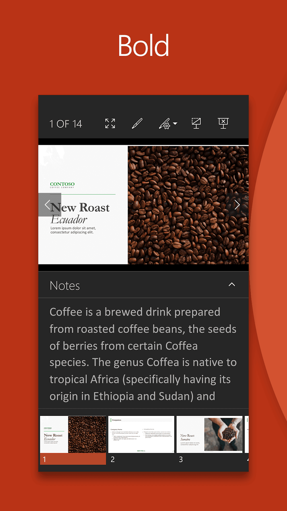 Microsoft PowerPoint Screenshot 5