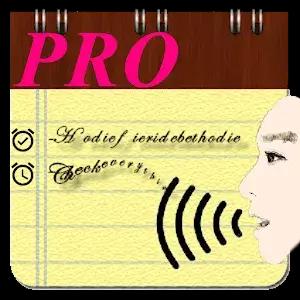 Voice Notes (Pro)