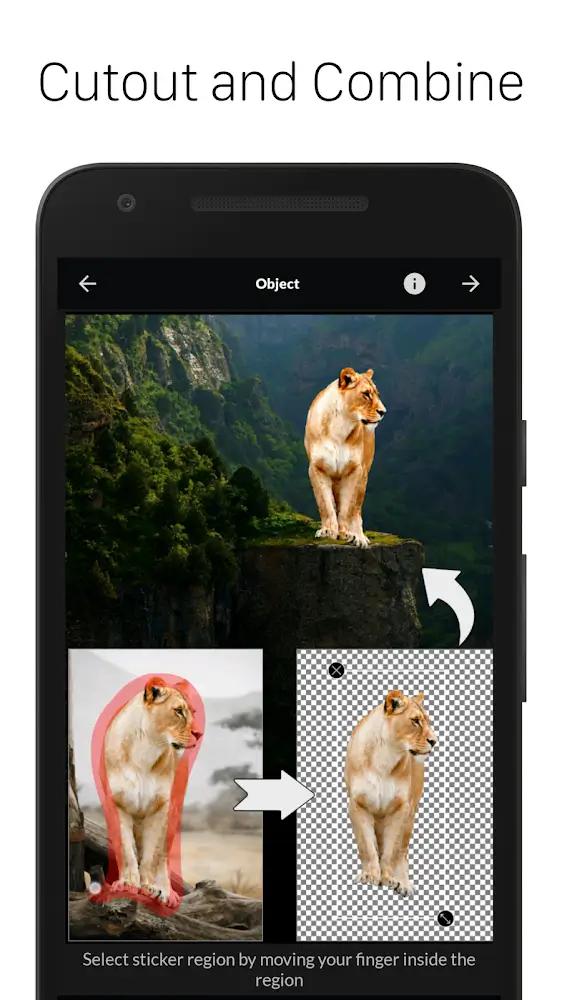 LightX Photo Editor Screenshot 2