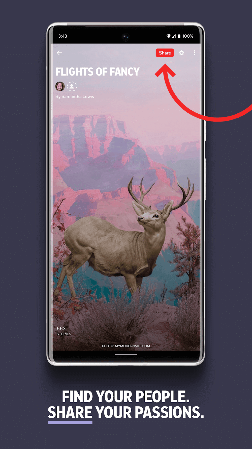 Flipboard Screenshot 2