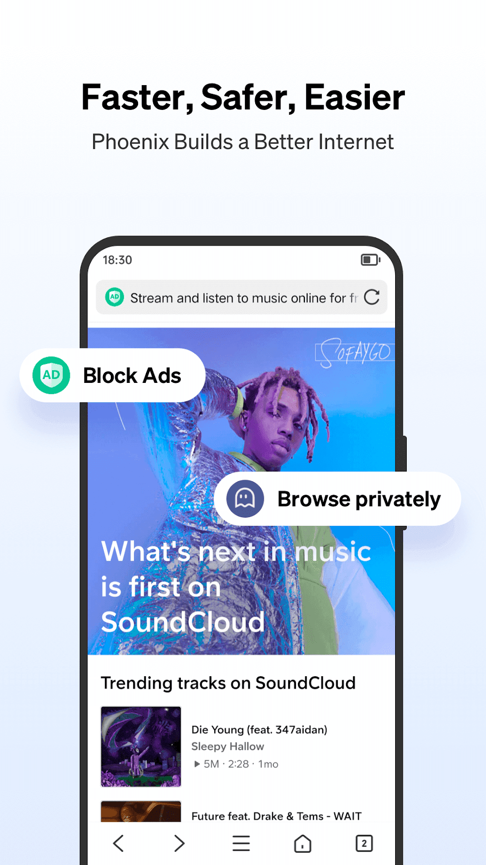 Phoenix Browser Screenshot 4