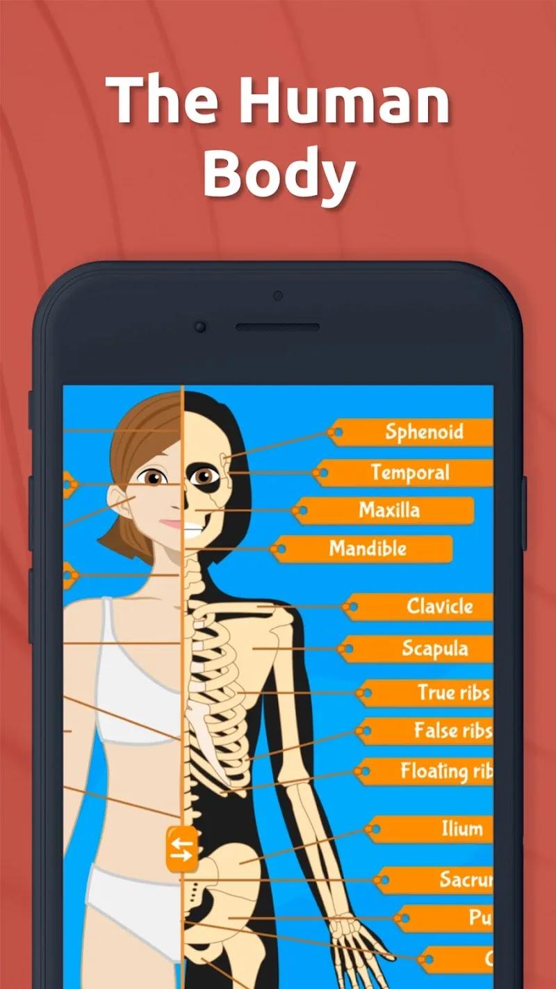 Anatomix Screenshot 1