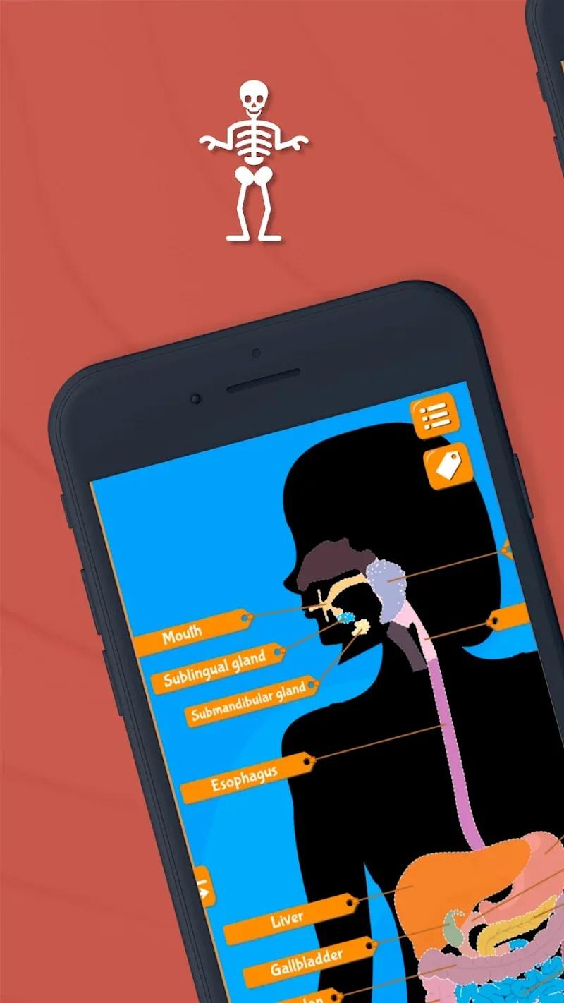 Anatomix Screenshot 2