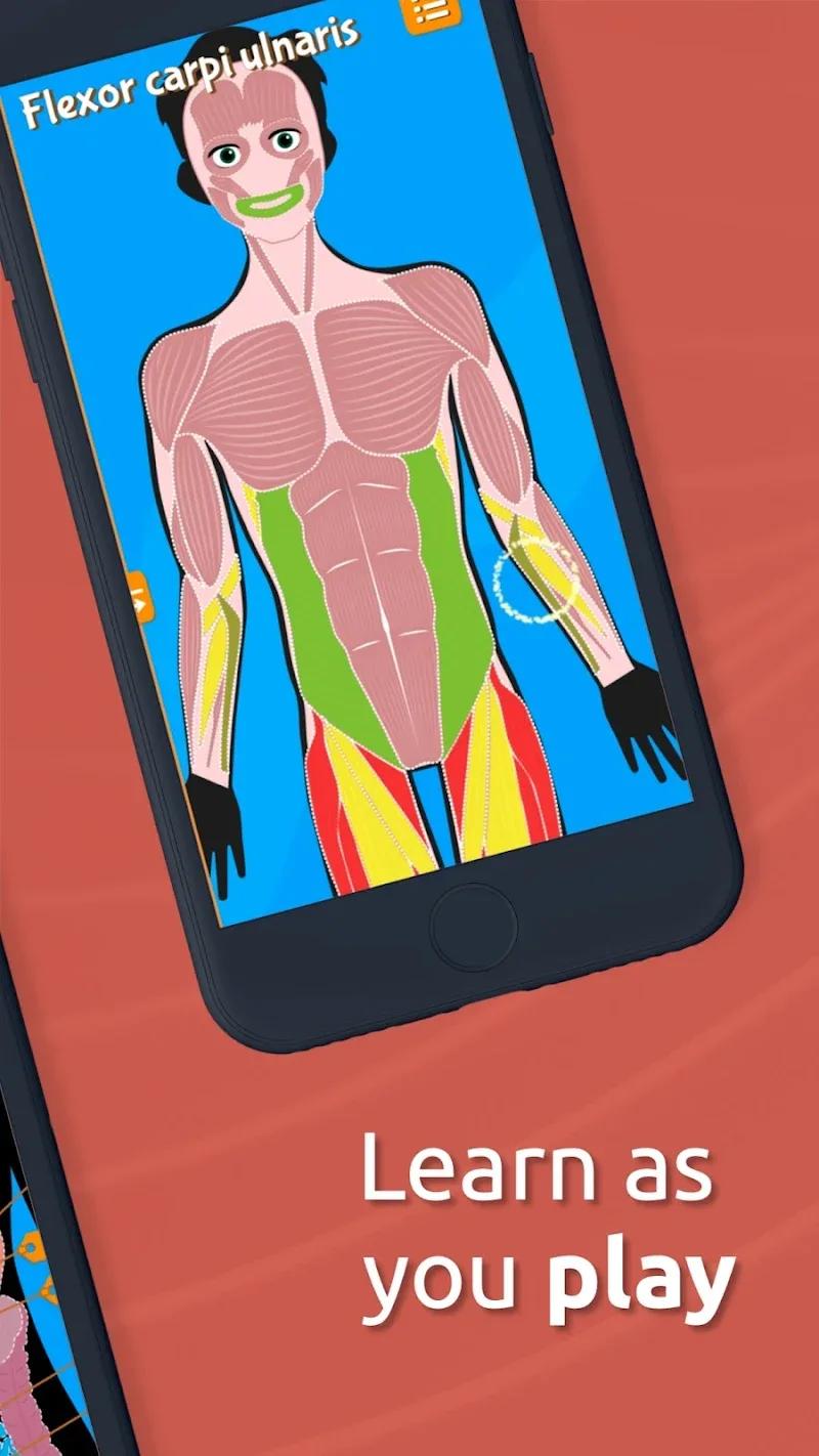 Anatomix Screenshot 3