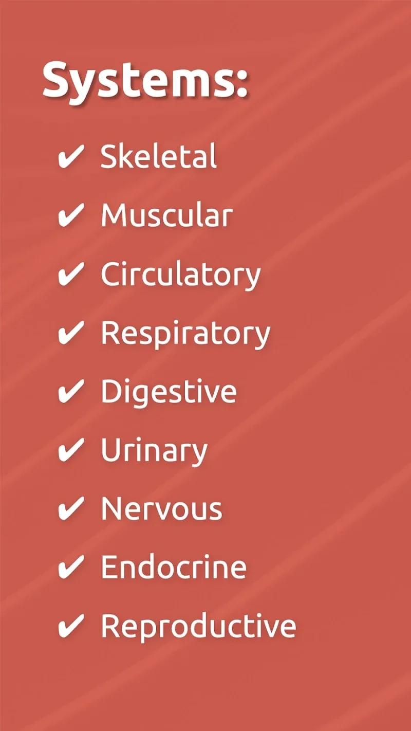 Anatomix Screenshot 4