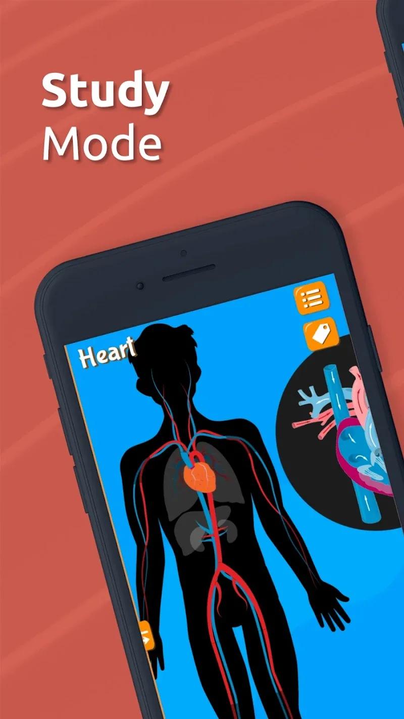 Anatomix Screenshot 5