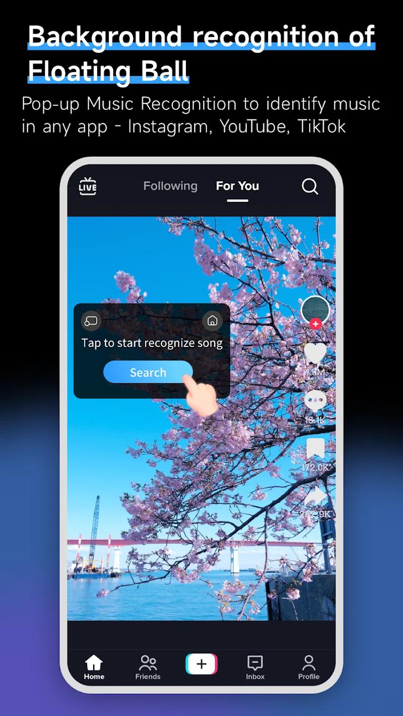 Music Recognition Screenshot 2