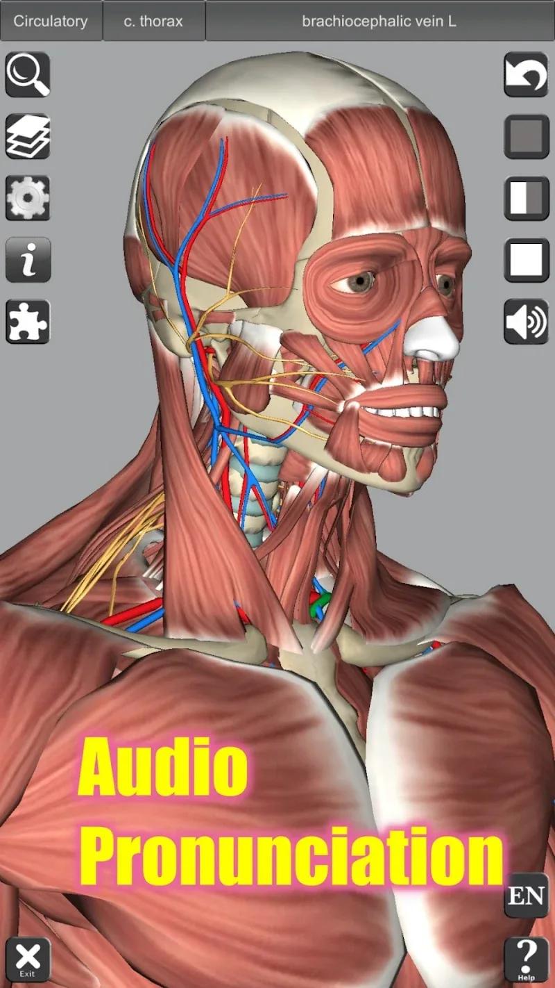 3D Anatomy Screenshot 3