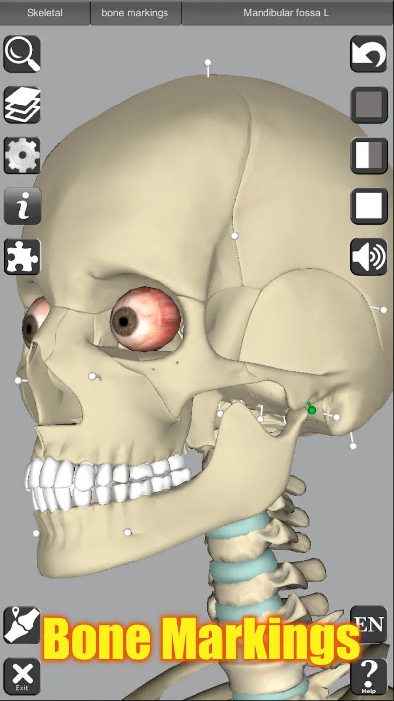 3D Anatomy Screenshot 5