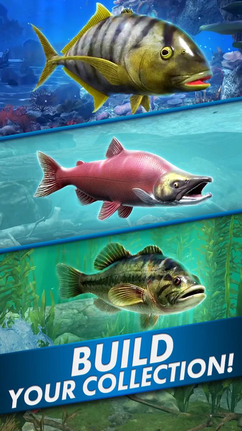 Go Fishing! Fish Game Screenshot 5