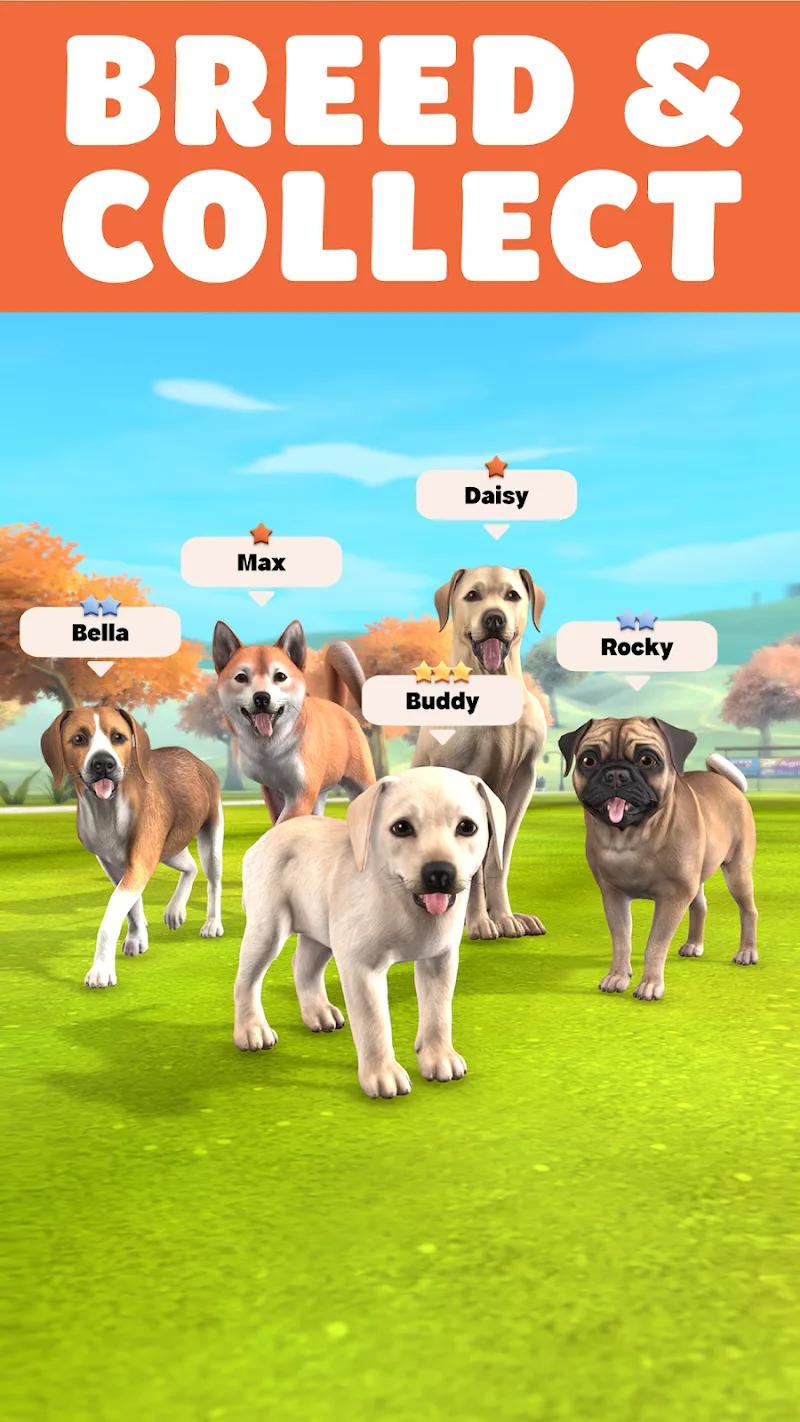 Pocket Paws: My lovely dogs Screenshot 1